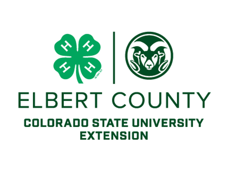 Fair Logo